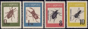 画像1: アルバニア共和国切手　1963年　昆虫　カブトムシ　4種 (1)