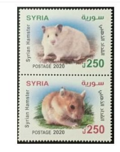 画像1: シリア切手　2020年　ゴールデンハムスター　2種 (1)