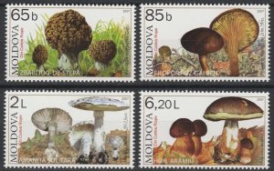 画像1: モルドバ切手　2007年　モルドバのレッドブック 　キノコ　4種 (1)