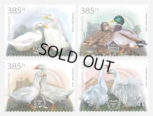 画像1: ハンガリー切手　2025年　鳥　ハンガリーの家禽品種　第4　鴨　ガチョウ　4種 (1)
