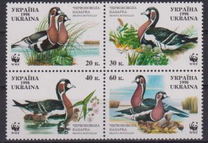 画像1: ウクライナ切手　1998年　WWF　鳥　アオガン　4種 (1)