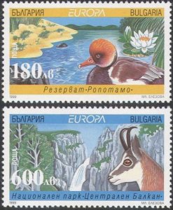 画像1: ブルガリア切手　1999年　鳥　中央バルカン国立公園、バルカンシャモア 2種 (1)