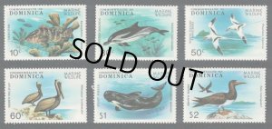 画像1: ドミニカ国切手　1979年　野生生物保護　鳥　カツオドリ　6種 (1)