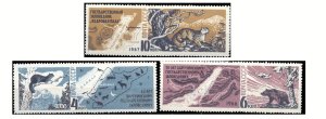 画像1: ロシア  旧ソ連切手　1966-67年　バルグジン自然保護区50周年   ユキヒョウ　3種 (1)