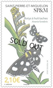 画像1: サンピエール島・ミクロン島切手　2025年　昆虫　1種 (1)