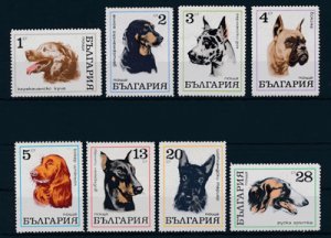 画像1: ブルガリア切手　1970年　犬　8種 (1)