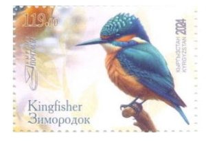 画像1: キルギス切手　2025年　鳥　カワセミ　1種 (1)