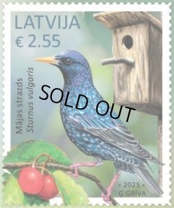 画像1: ラトビア切手　2025年　鳥　ホシムクドリ　1種 (1)
