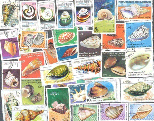 世界 貝切手 セット 100 - すてきな郵便屋さんciel