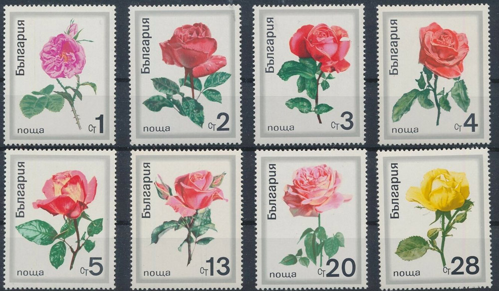 ブルガリア切手 1970年 バラ 花 8種 すてきな郵便屋さんciel