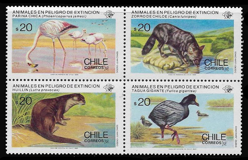 チリ切手 1985年 絶滅の危機に瀕した動物 チリカワウソ 鳥 4種 
