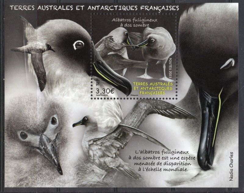 フランス領南極地域切手 2023年 鳥 ハイイロアホウドリ 1種 - すてきな 