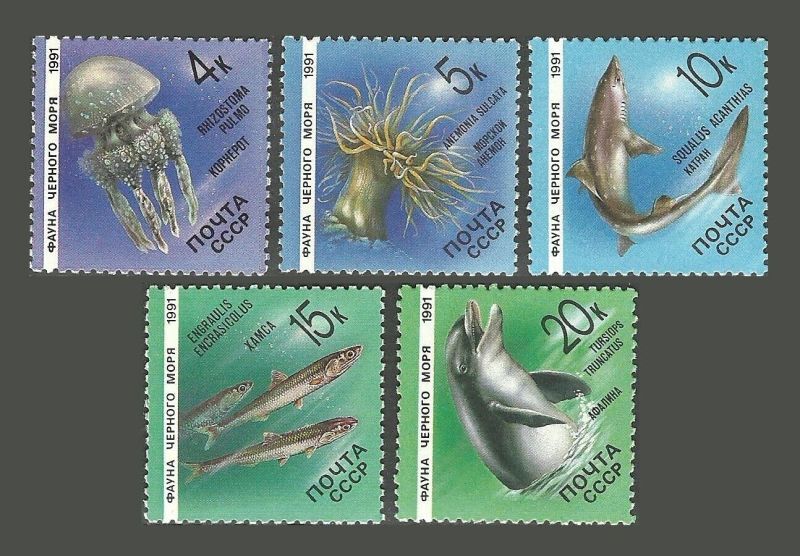 ロシア　旧ソ連切手　1991年　黒海の動物相　ツノザメ　5種